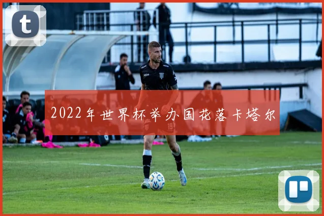 2022年世界杯举办国花落卡塔尔