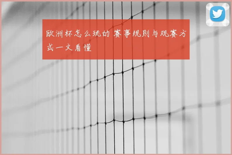 欧洲杯怎么玩的 赛事规则与观赛方式一文看懂