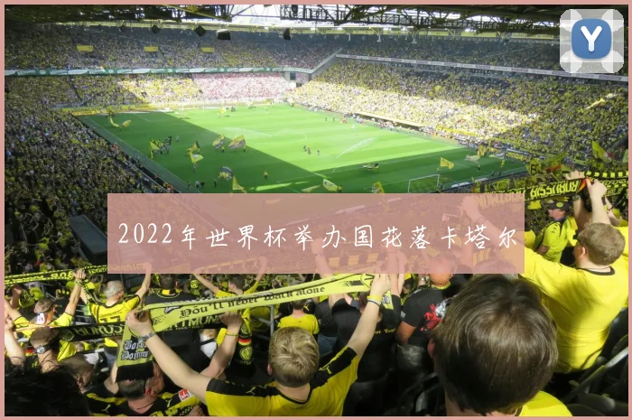 2022年世界杯举办国花落卡塔尔