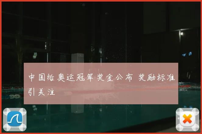 中国给奥运冠军奖金公布 奖励标准引关注