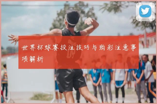 世界杯球赛投注技巧与购彩注意事项解析