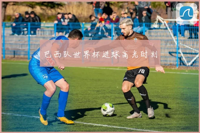 巴西队世界杯进球高光时刻