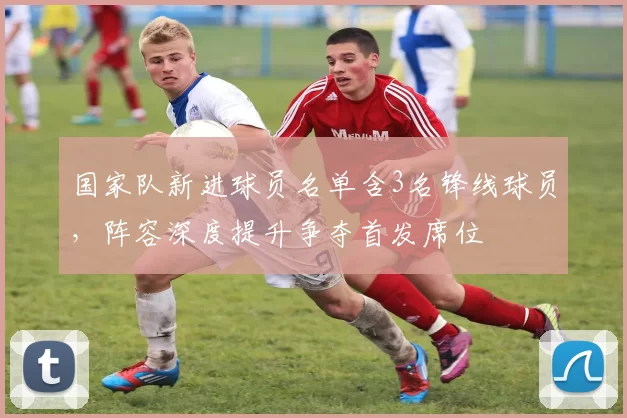 国家队新进球员名单含3名锋线球员，阵容深度提升争夺首发席位